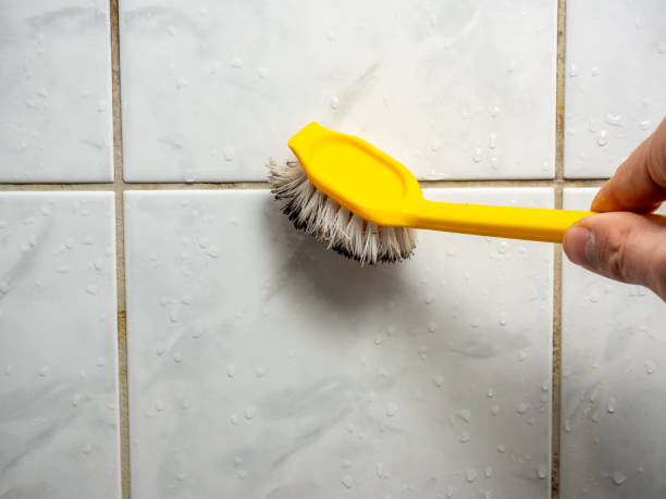Best Same-Day Mold Removal  in Lanark, IL