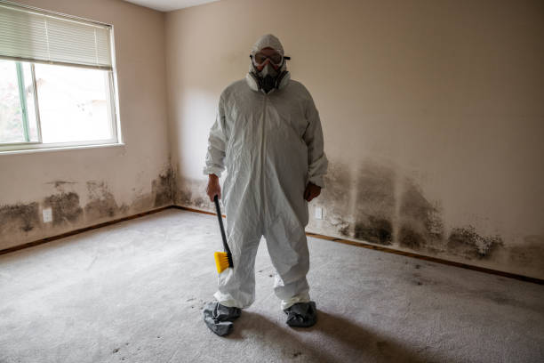 Best Toxic Mold Removal  in Lanark, IL